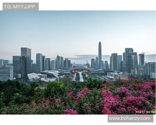 深圳网球队实力飙升再创佳绩引发全国关注与期待 深圳网球队实力飙升再创佳绩引发全国关注与期待