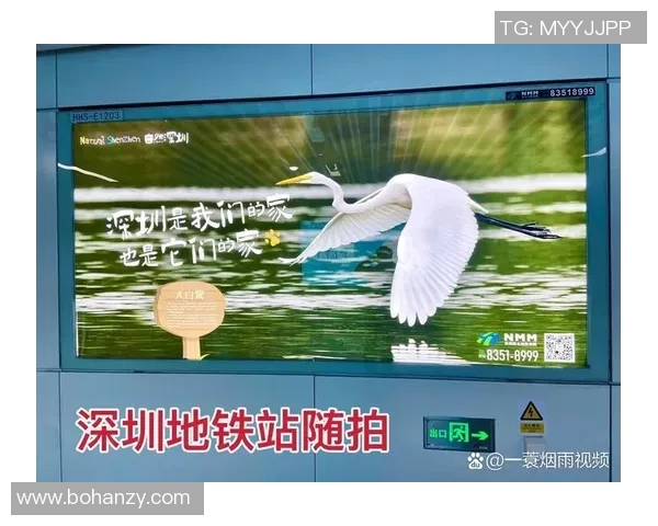 吴丽专访：从街头到舞台的蜕变与坚持之路回顾